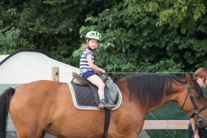 Hennig zu Pferd