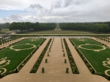 Blick in den Garten